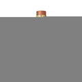Allure 100ml Eau de Parfum