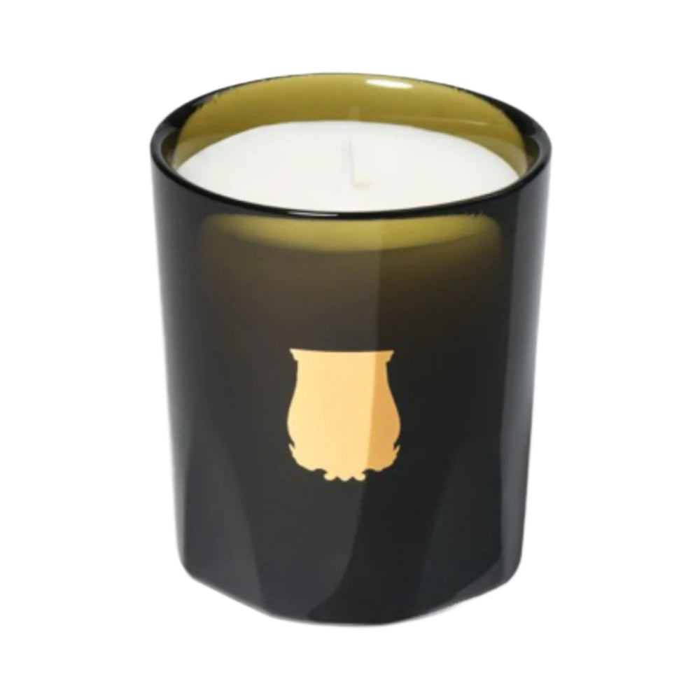 Ernesto Petite Candle 70g Candle